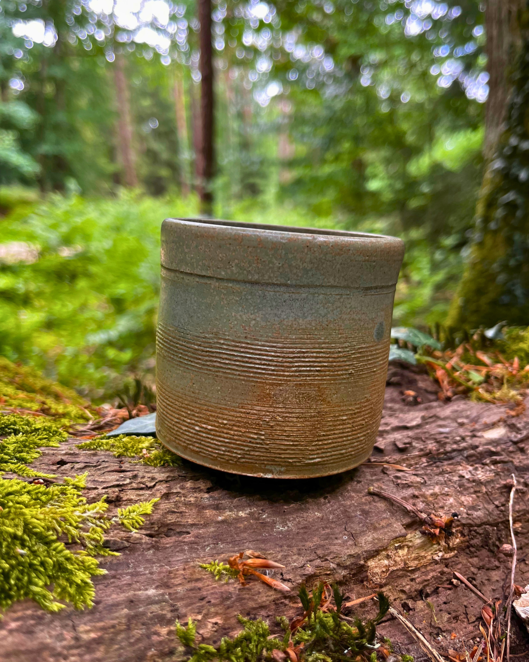 Forest Range