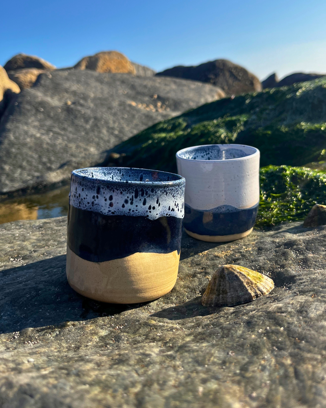 Coastal Range