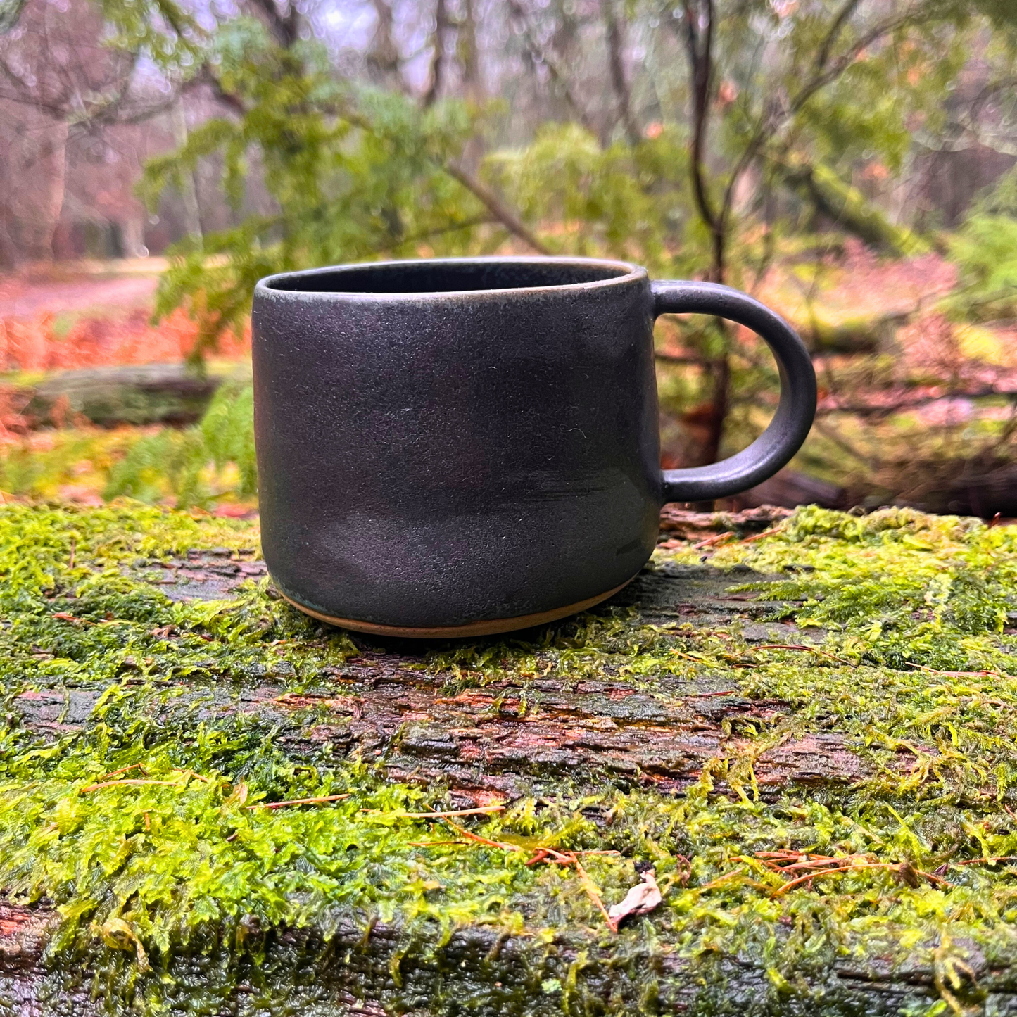 Handmade Ceramic Mug, Forest Fern Range